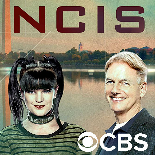 NCIS Has Fervor